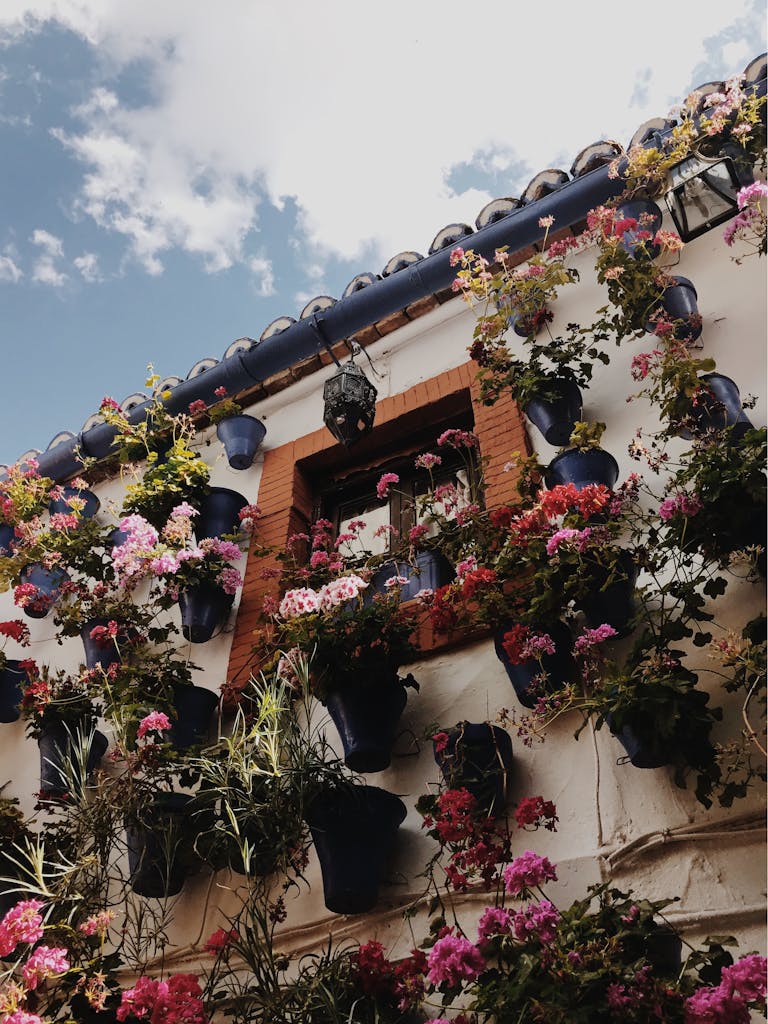 Exterior wall adorned with vibrant flowers and decorative pots in Córdoba, Spain.